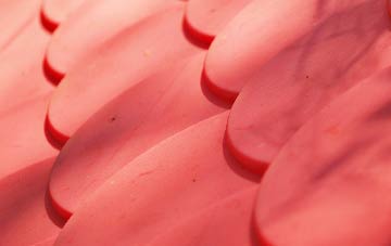 Stapleton plastic roof costs