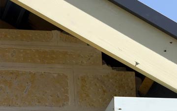 soffit repair Stapleton