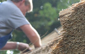 professional Stapleton thatchers